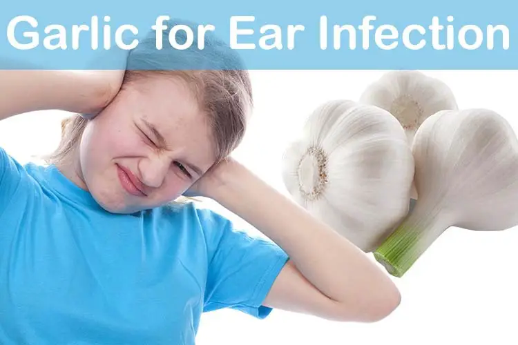 Can you use sweet oil for ear infections?