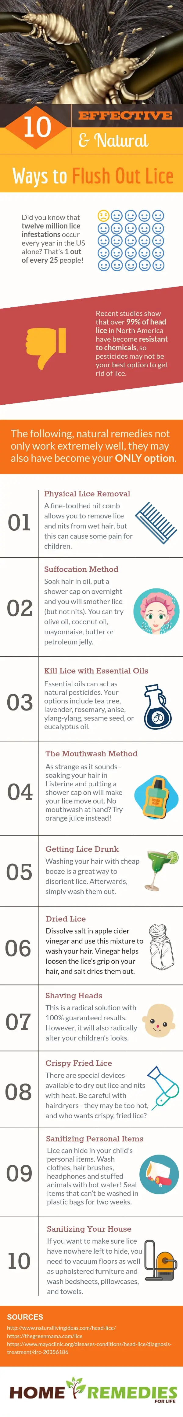10 Effective and Natural Ways to Flush Out Lice